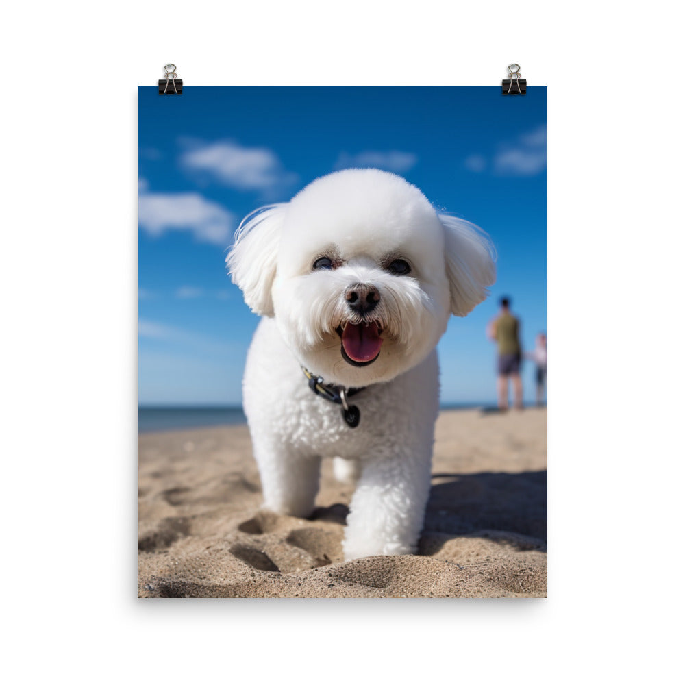 Bichon Frise on a Beach Photo paper poster - PosterfyAI.com