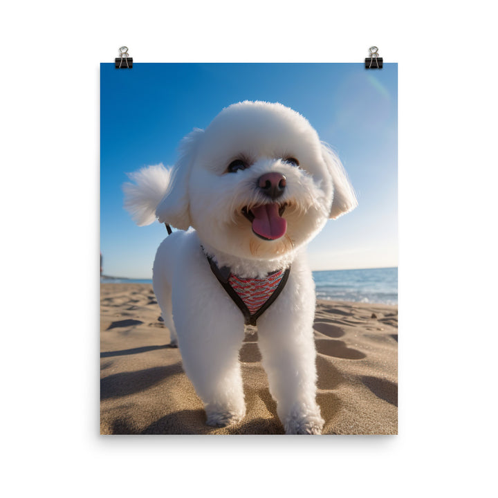 Bichon Frise on a Beach Photo paper poster - PosterfyAI.com