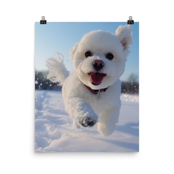 Bichon Frise in the Snow Photo paper poster - PosterfyAI.com