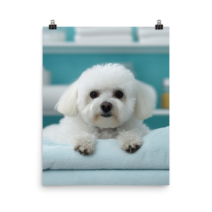 Bichon Frise in a Spa Photo paper poster - PosterfyAI.com