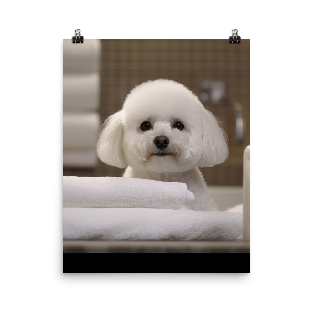 Bichon Frise in a Spa Photo paper poster - PosterfyAI.com