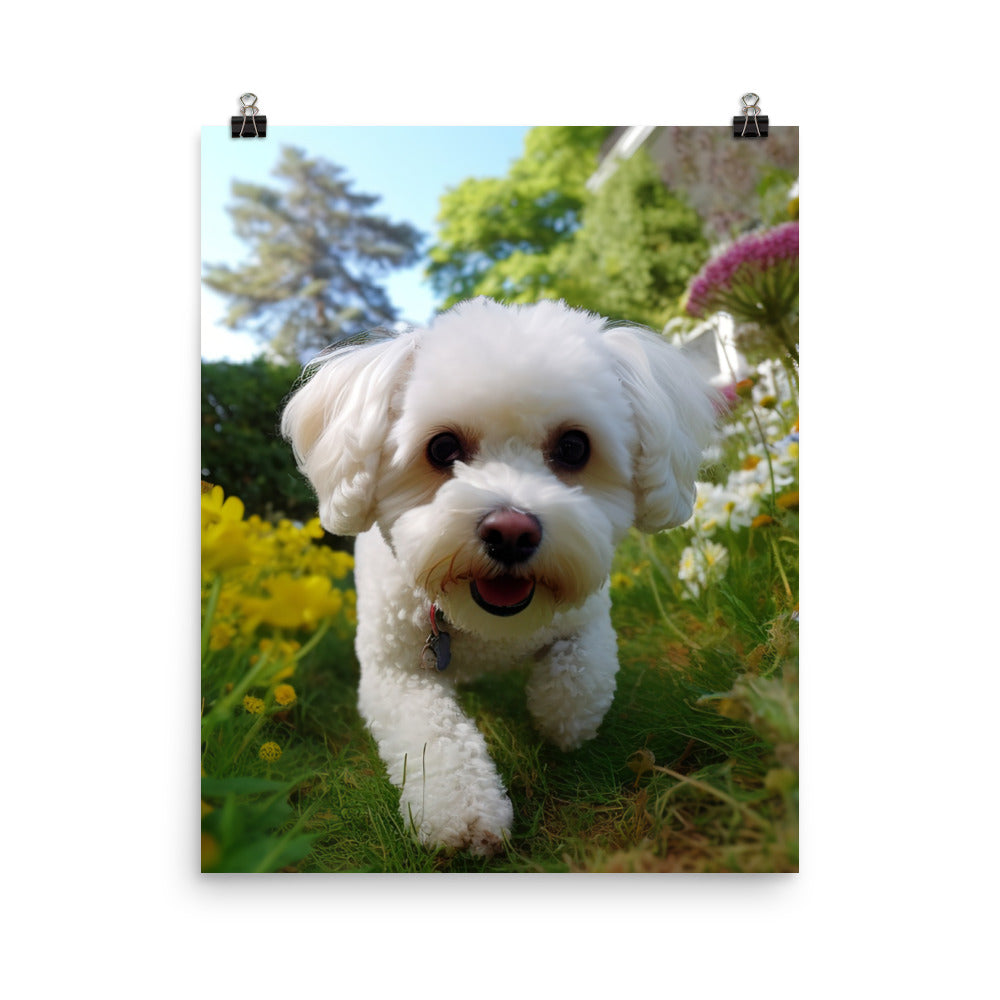 Bichon Frise in a Garden Photo paper poster - PosterfyAI.com