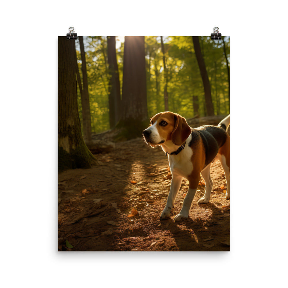 Beagle on the scent Photo paper poster - PosterfyAI.com