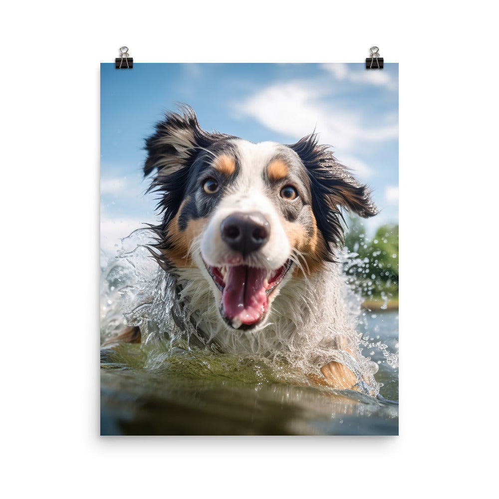 Australian Shepherd playing Photo paper poster - PosterfyAI.com