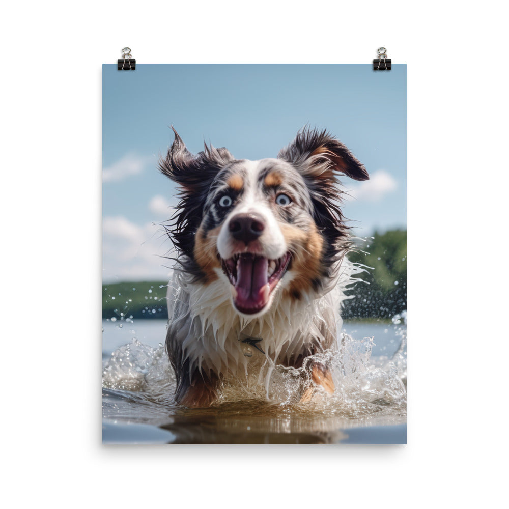 Australian Shepherd playing Photo paper poster - PosterfyAI.com