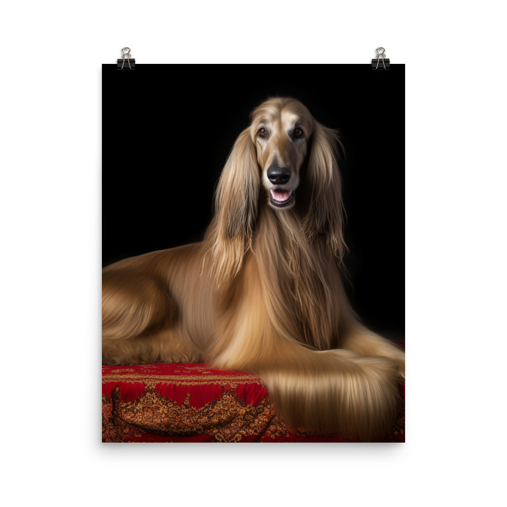 Afghan Hound in a regal pose Photo paper poster - PosterfyAI.com