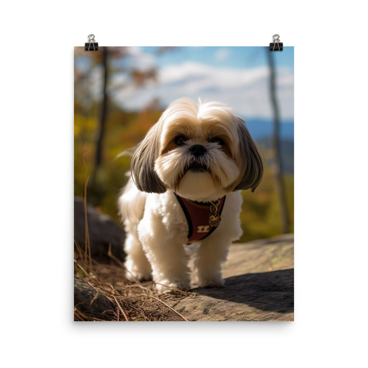 Adventurous Shih Tzu on a Hike Photo paper poster - PosterfyAI.com