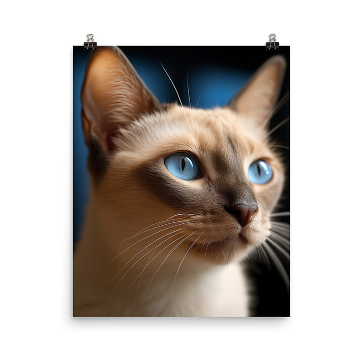 Charm of Tonkinese Kitten Photo paper poster - PosterfyAI.com