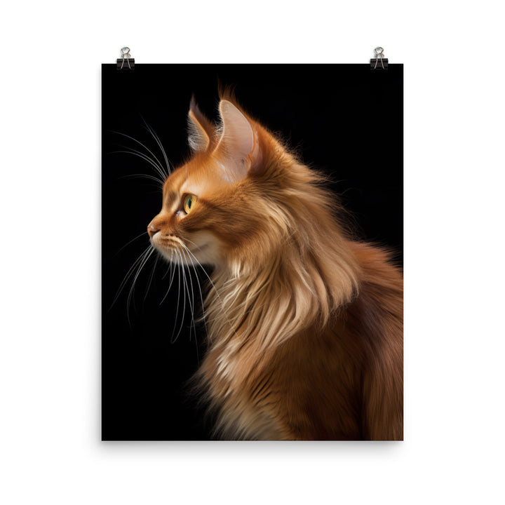 Beauty of Somali Cat Photo paper poster - PosterfyAI.com