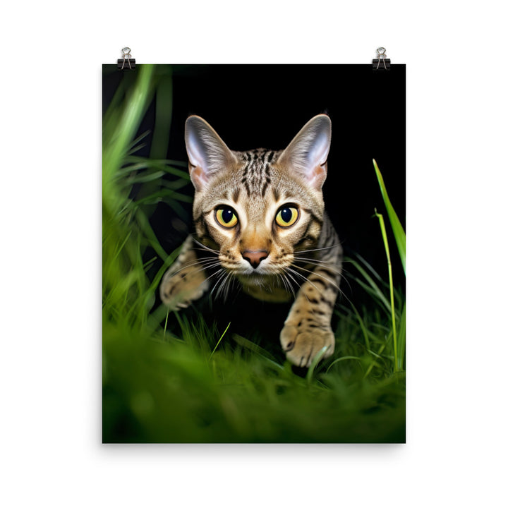 Agile Grace of Ocicat Cat Photo paper poster - PosterfyAI.com