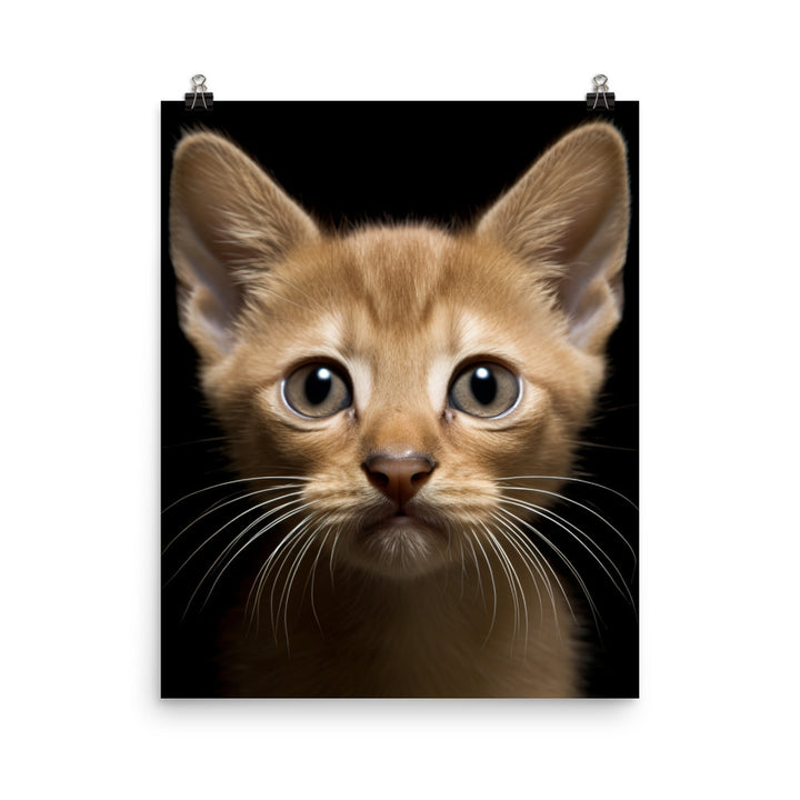 Playful World of Burmese Kitten Photo paper poster - PosterfyAI.com