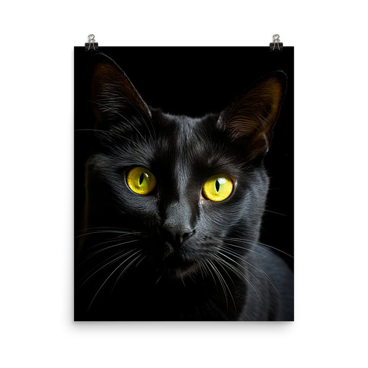 Bombay Cat in Stunning Detail Photo paper poster - PosterfyAI.com