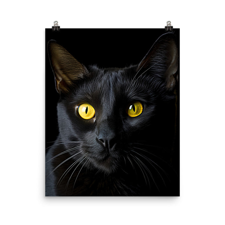 Bombay Cat in Stunning Detail Photo paper poster - PosterfyAI.com