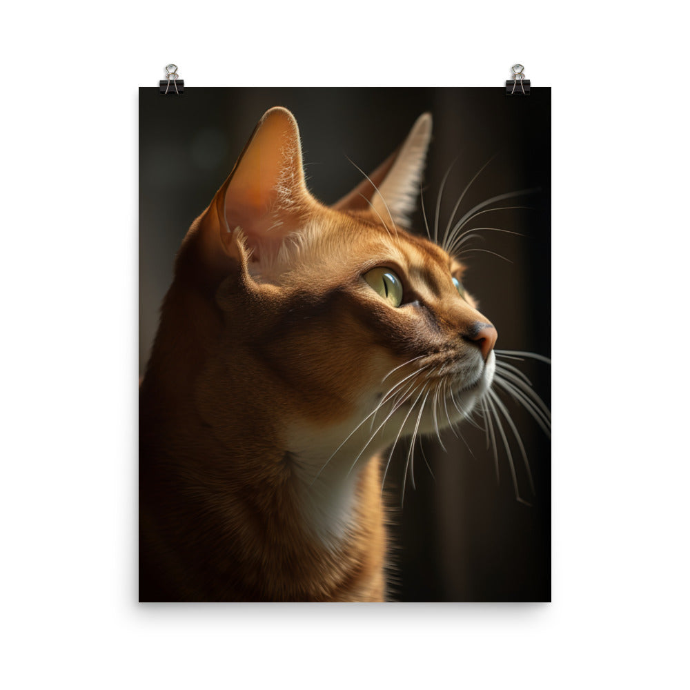 Abyssinian Cat Photo paper poster - PosterfyAI.com