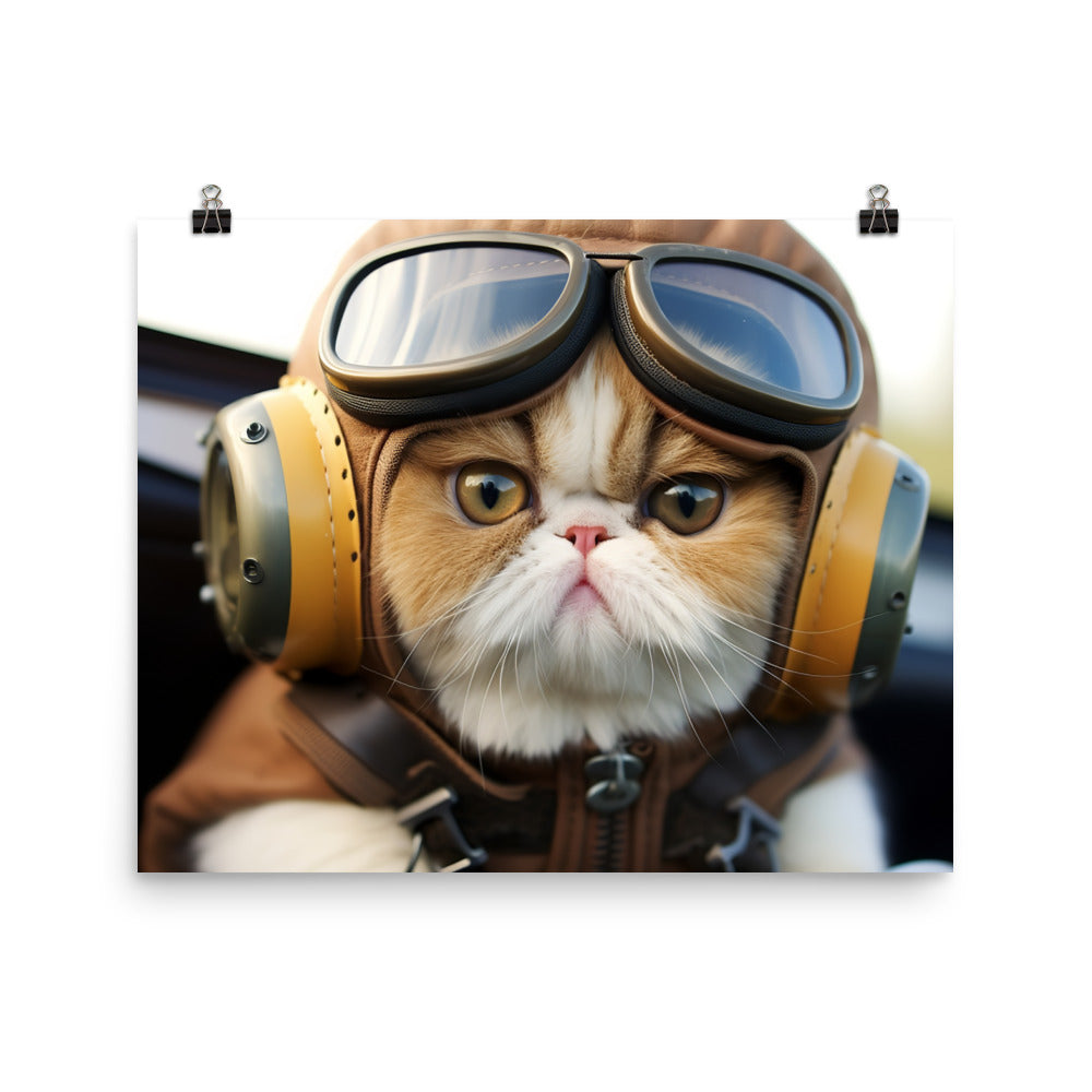 Exotic Shorthair Pilot Photo paper poster - PosterfyAI.com