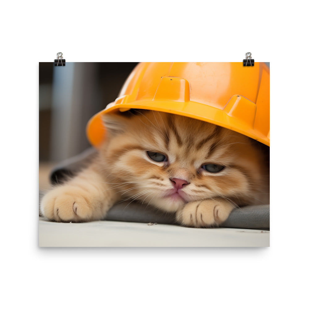 Exotic Shorthair Contractor Photo paper poster - PosterfyAI.com