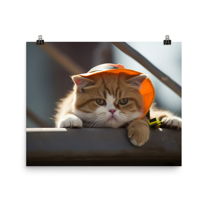 Exotic Shorthair Contractor Photo paper poster - PosterfyAI.com