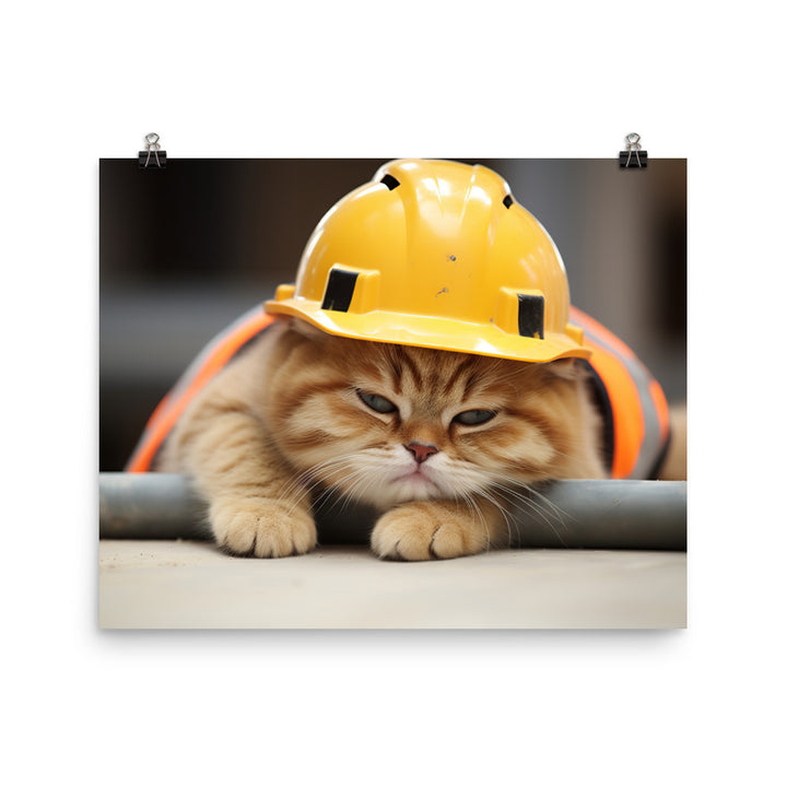 Exotic Shorthair Contractor Photo paper poster - PosterfyAI.com