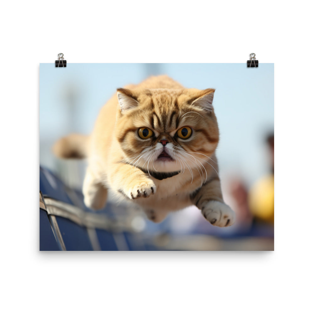 Exotic Shorthair Photo paper poster - PosterfyAI.com