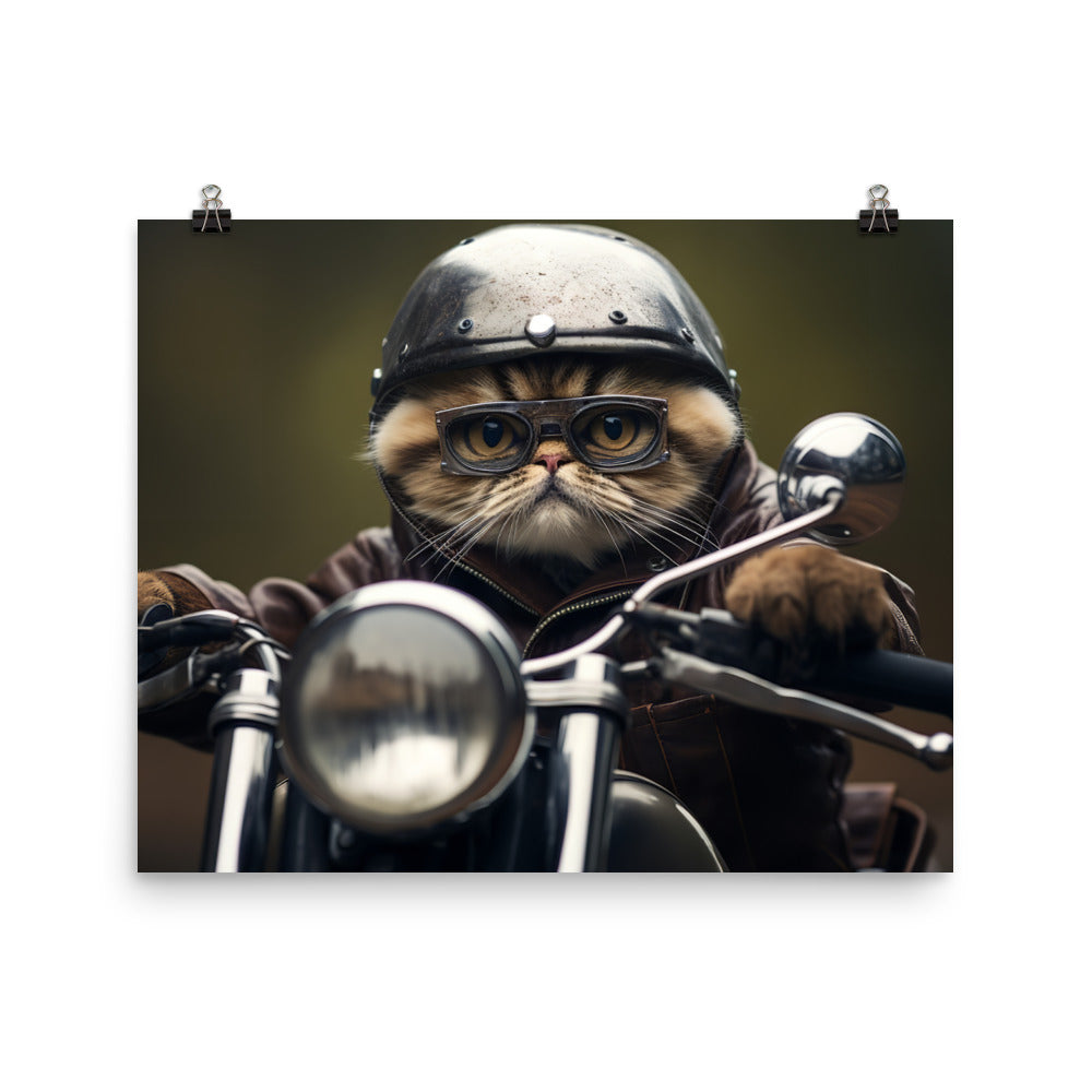 Exotic Shorthair Superbike Athlete paper poster - PosterfyAI.com