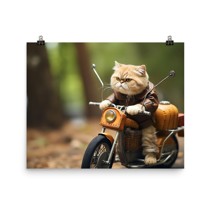 Exotic Shorthair Superbike Athlete Photo paper poster - PosterfyAI.com