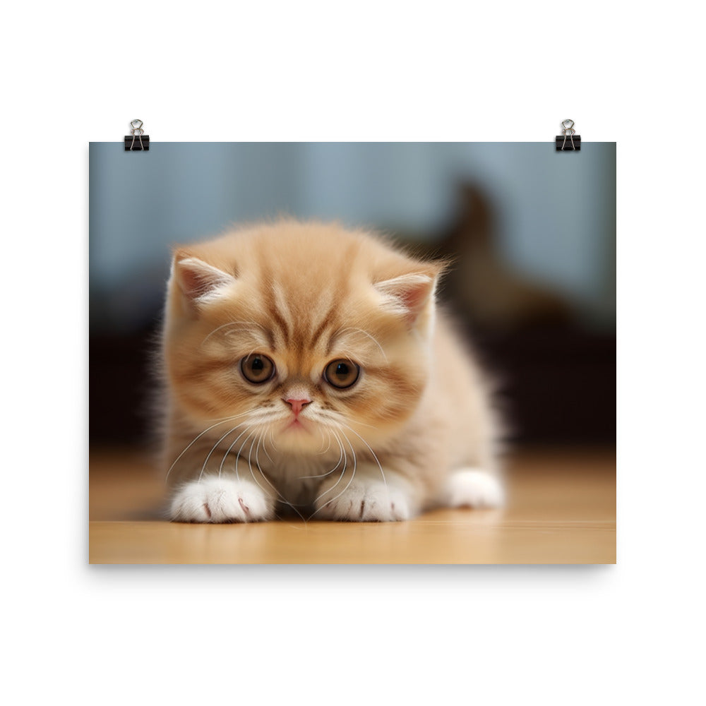 Exotic Shorthair Photo paper poster - PosterfyAI.com