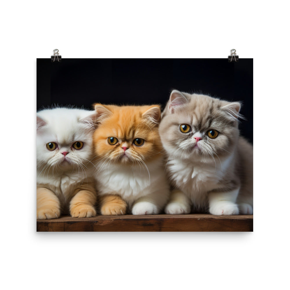 Exotic Shorthair Photo paper poster - PosterfyAI.com