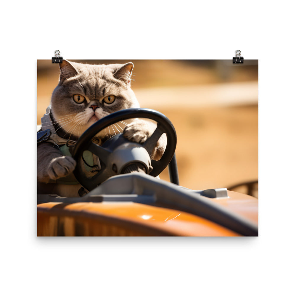 Exotic Shorthair Motorsport Athlete Photo paper poster - PosterfyAI.com