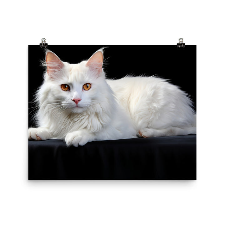 Turkish Van Photo paper poster - PosterfyAI.com