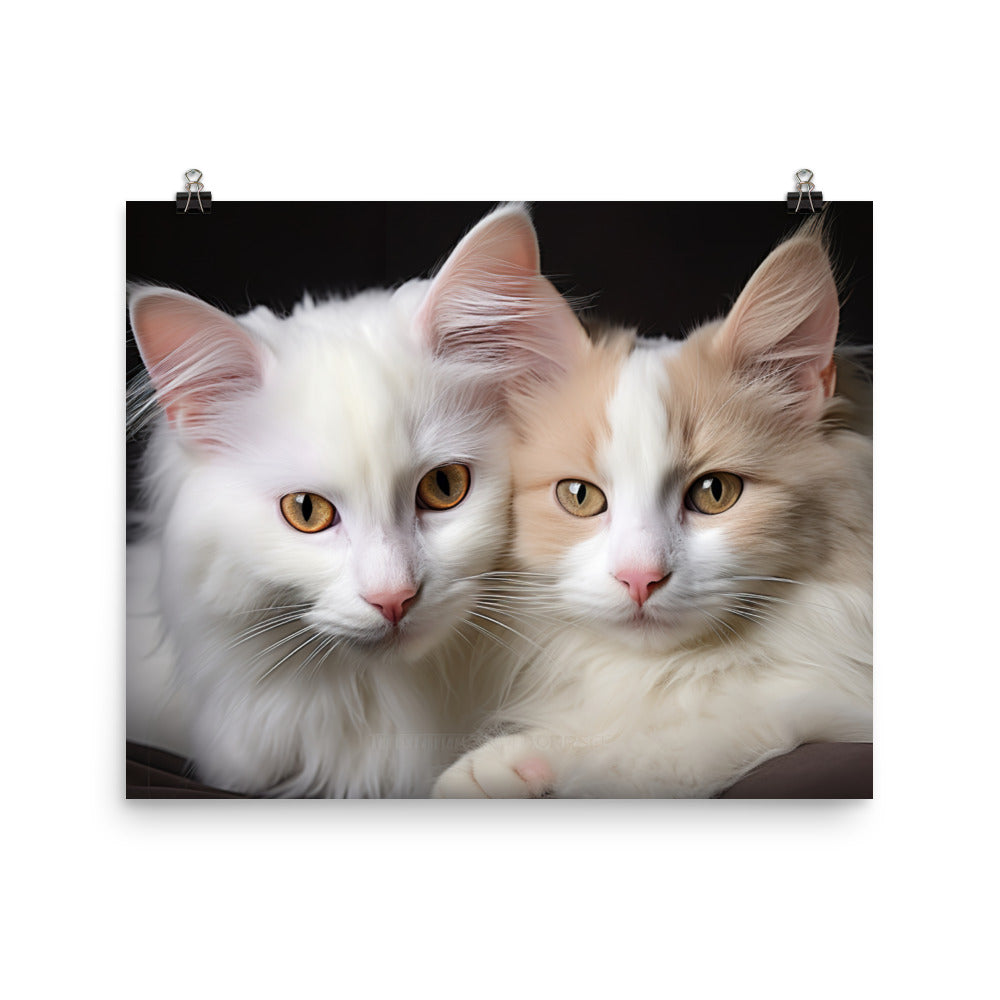 Turkish Van Photo paper poster - PosterfyAI.com