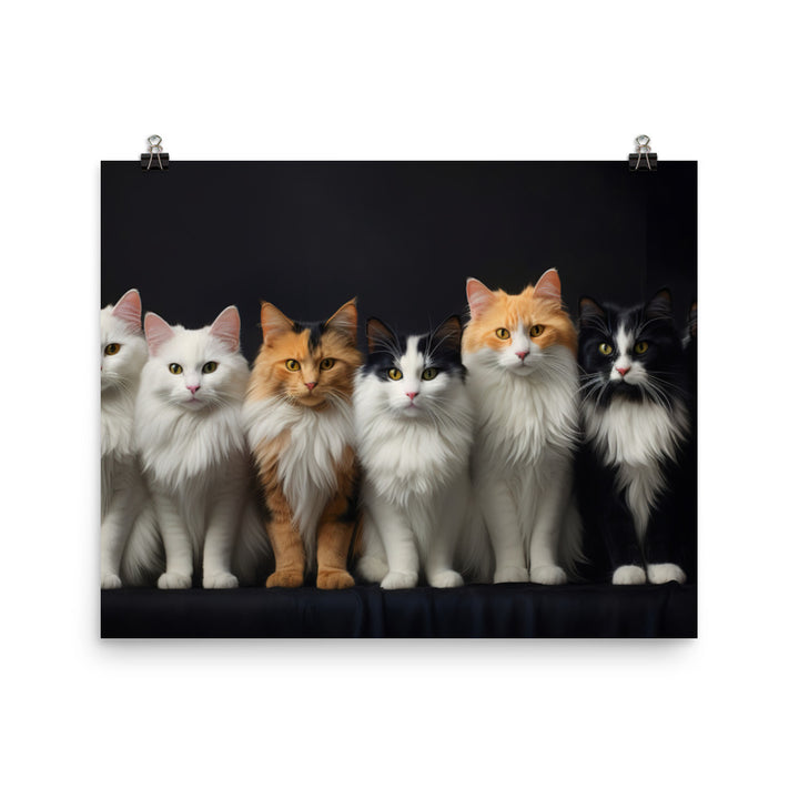 Turkish Van Photo paper poster - PosterfyAI.com