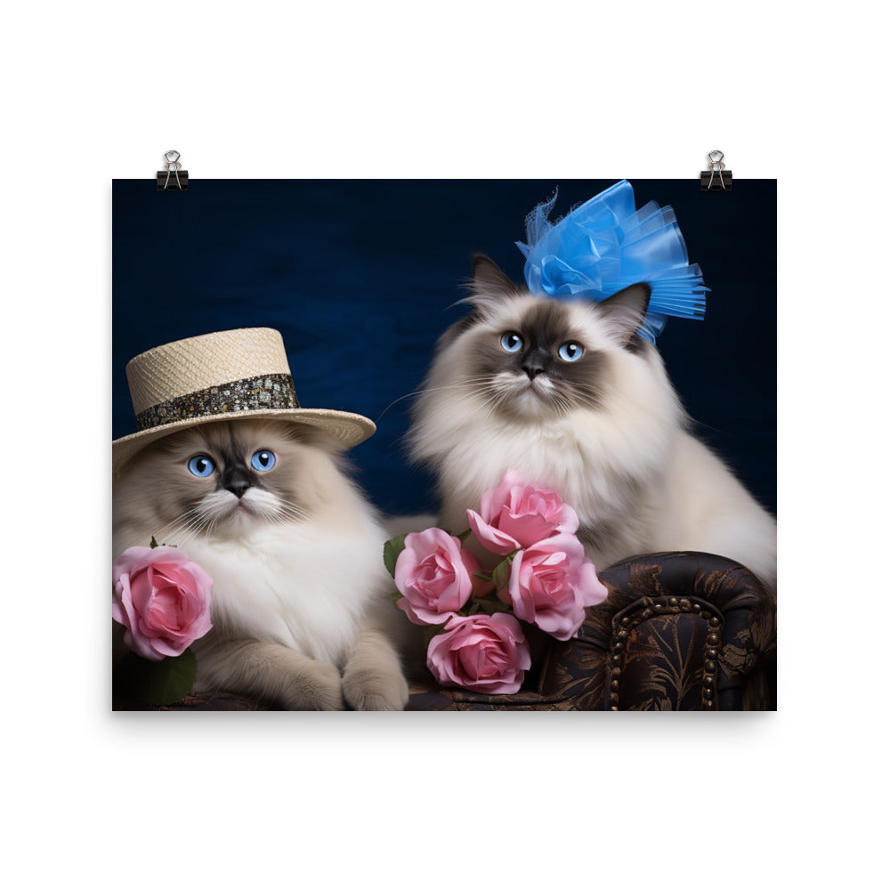 Ragdoll Photo paper poster - PosterfyAI.com