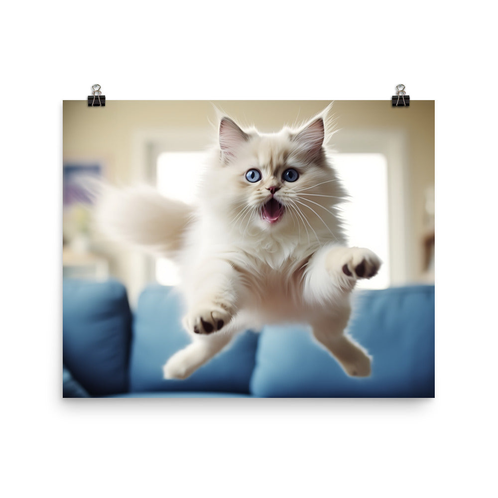 Ragdoll Photo paper poster - PosterfyAI.com