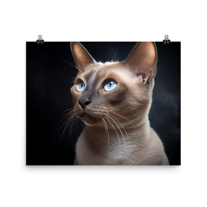 Tonkinese Photo paper poster - PosterfyAI.com