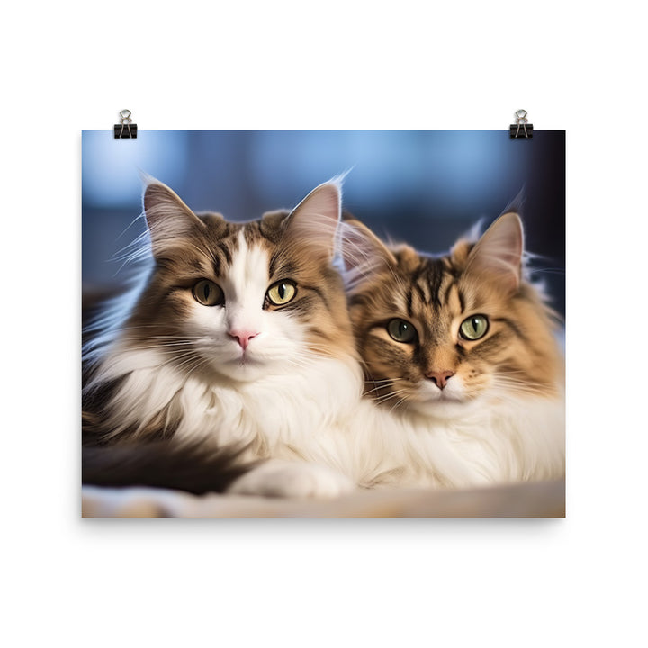 Norwegian Forest Photo paper poster - PosterfyAI.com