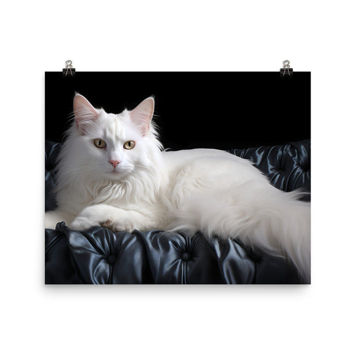 Turkish Angora Photo paper poster - PosterfyAI.com