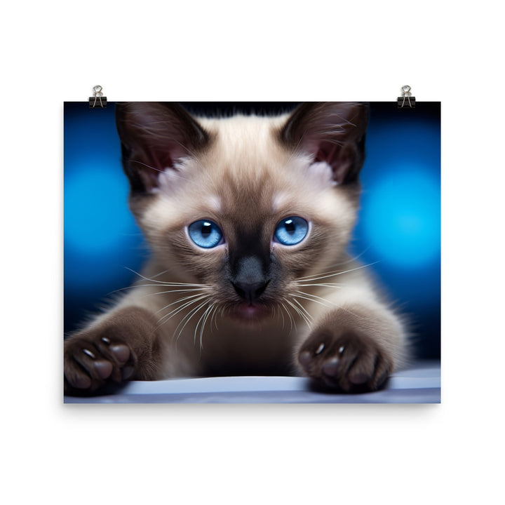 Siamese Photo paper poster - PosterfyAI.com