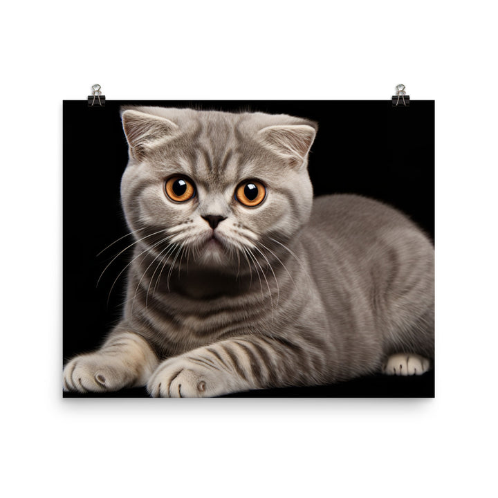 Scottish Fold Photo paper poster - PosterfyAI.com