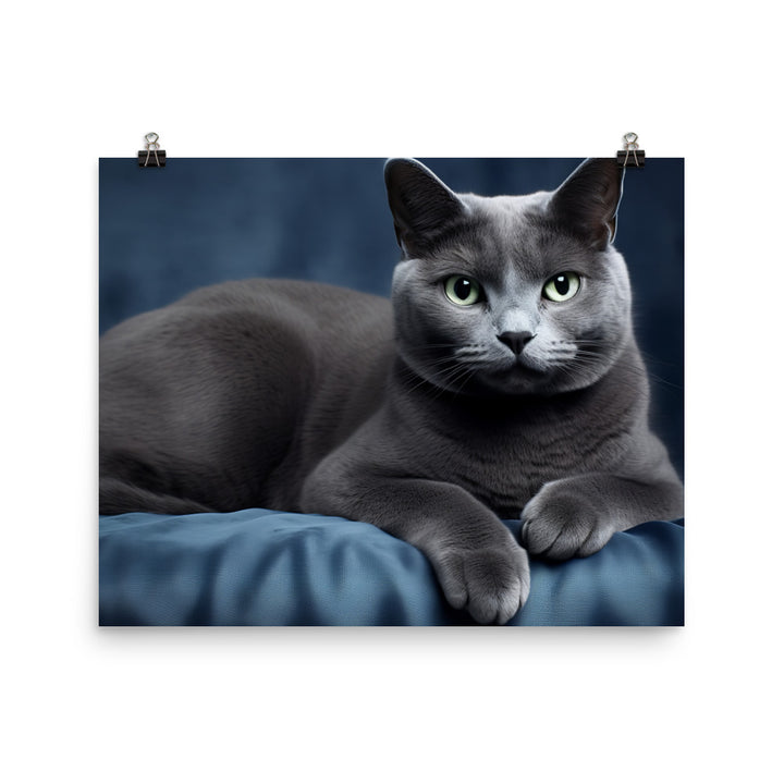 Russian Blue Photo paper poster - PosterfyAI.com