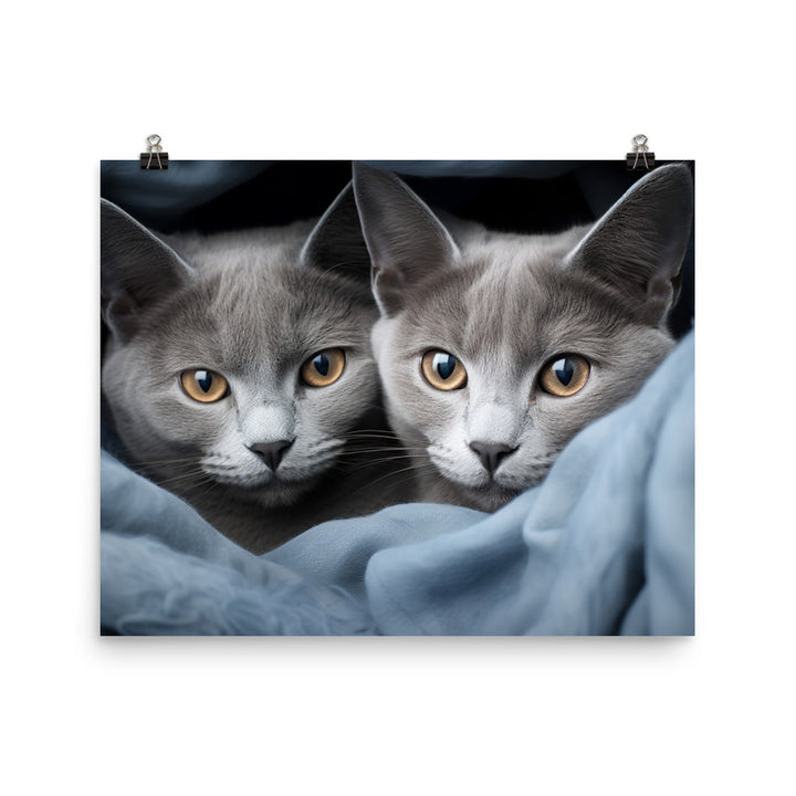 Russian Blue Photo paper poster - PosterfyAI.com