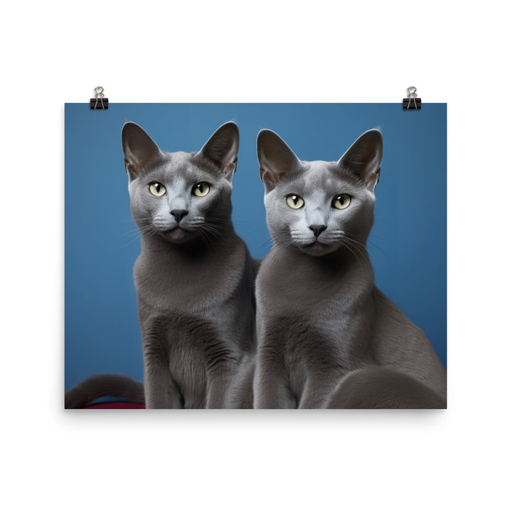 Russian Blue Photo paper poster - PosterfyAI.com