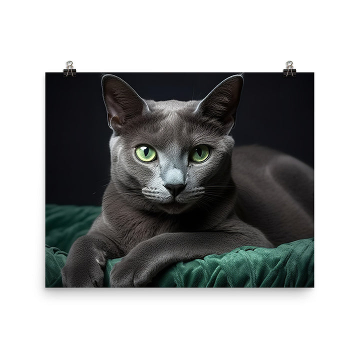 Russian Blue Photo paper poster - PosterfyAI.com