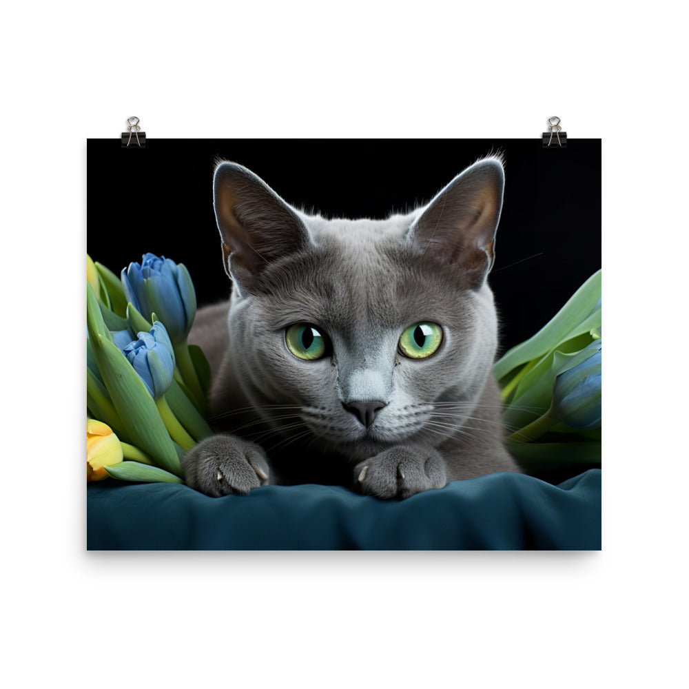 Russian Blue Photo paper poster - PosterfyAI.com