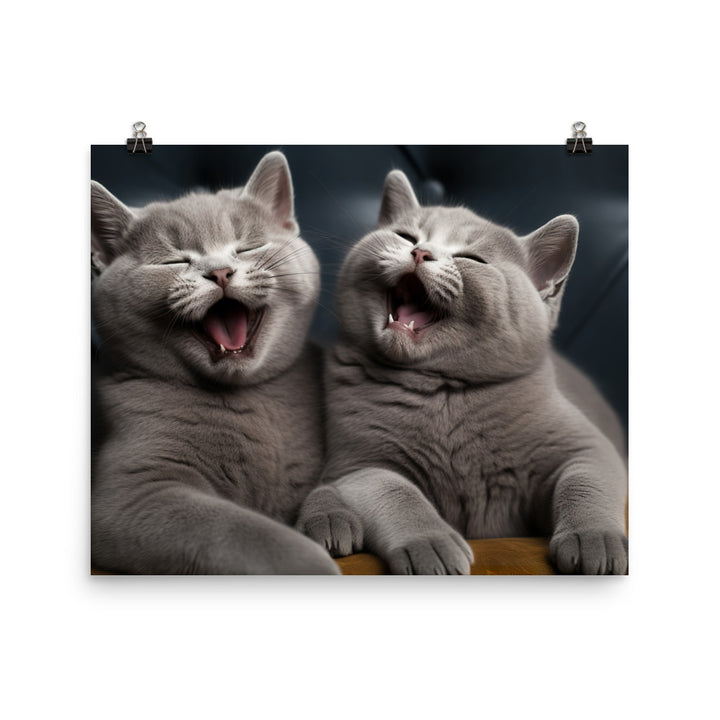 British Shorthair Photo paper poster - PosterfyAI.com