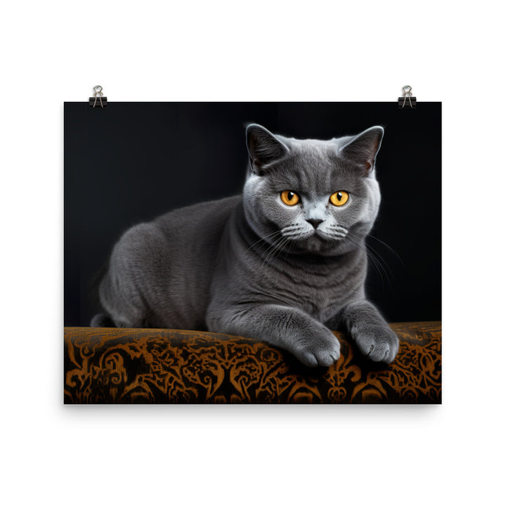 British Shorthair Photo paper poster - PosterfyAI.com