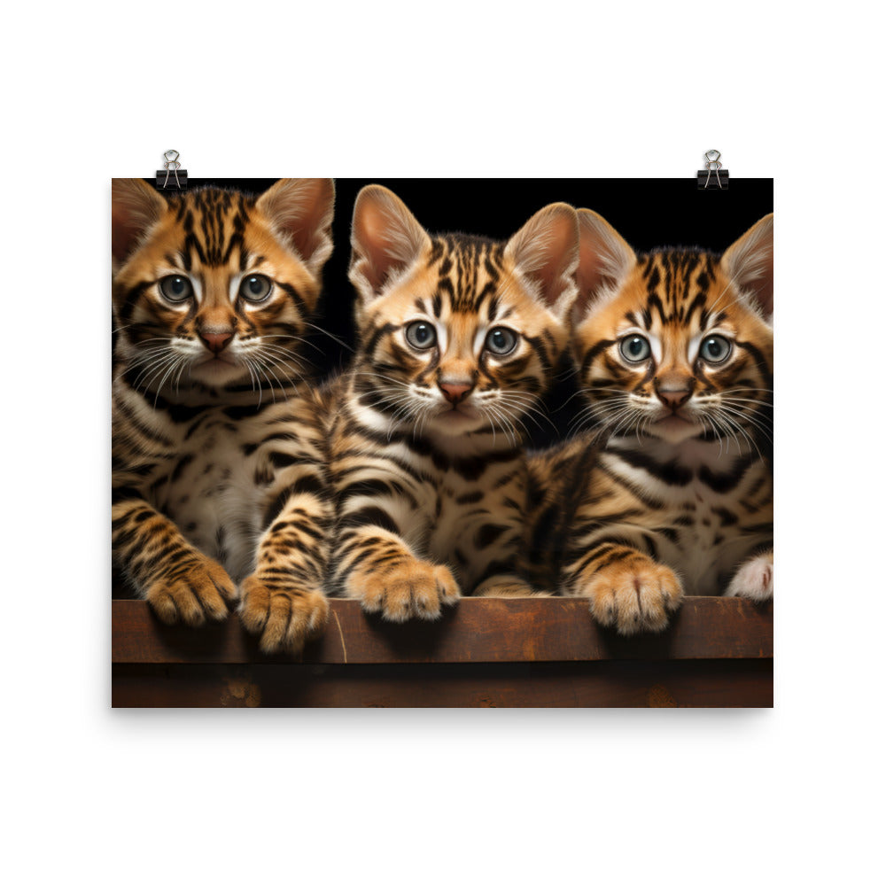 Bengal Photo paper poster - PosterfyAI.com