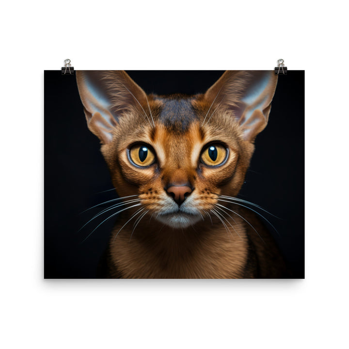 Abyssinian Photo paper poster - PosterfyAI.com