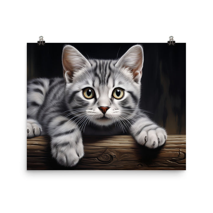 American Shorthair Photo paper poster - PosterfyAI.com