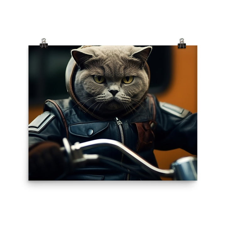 British Shorthair Superbike Athlete Photo paper poster - PosterfyAI.com