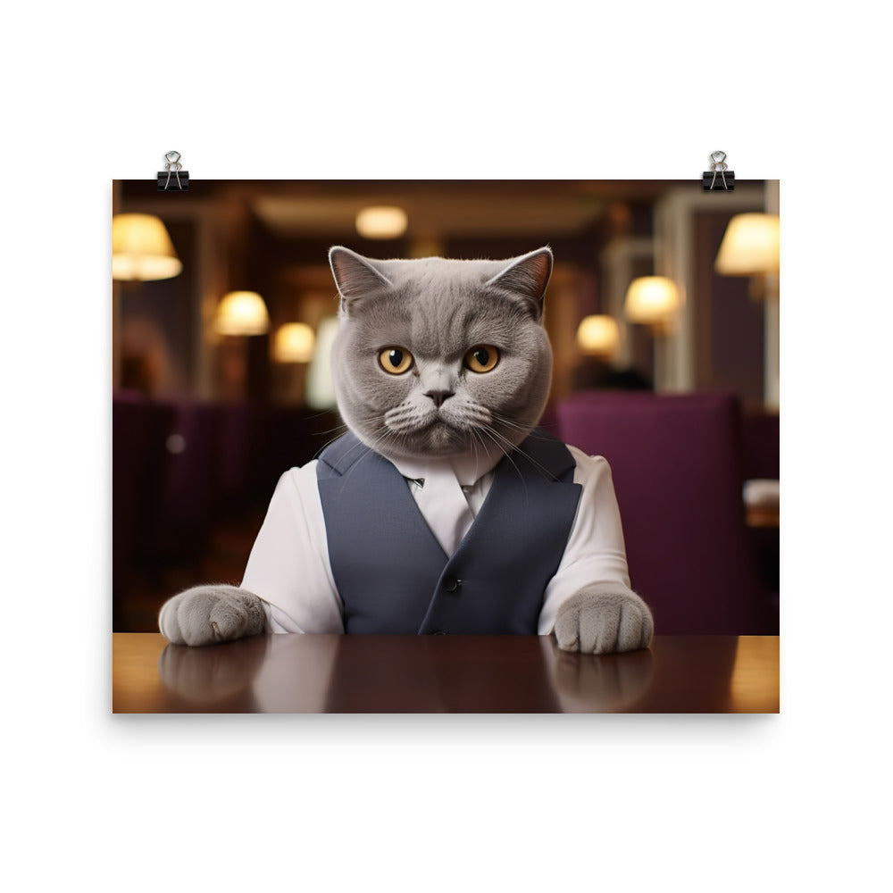 British Shorthair Hotel Staff Photo paper poster - PosterfyAI.com